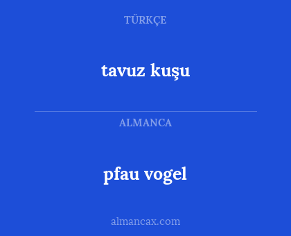 pfau vogel - tavuz kuşu