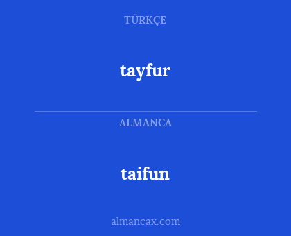 tayfur - taifun