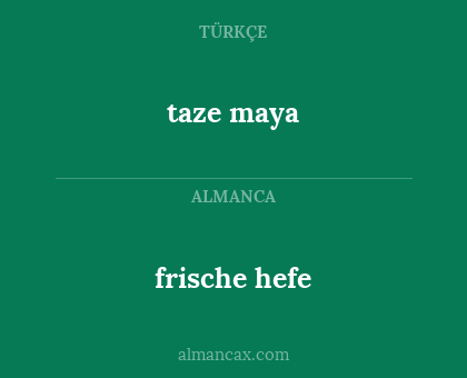 taze maya - frische hefe