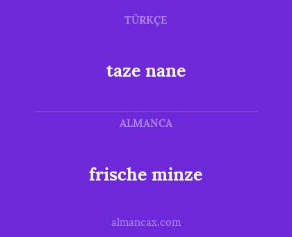 taze nane - frische minze