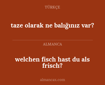 taze olarak ne balığınız var? - welchen fisch hast du als frisch?