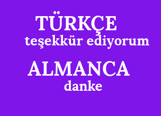 te%C5%9Fekk%C3%BCr+ediyorum-danke.png