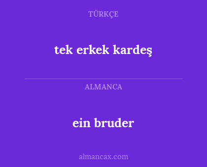 tek erkek kardeş - ein bruder