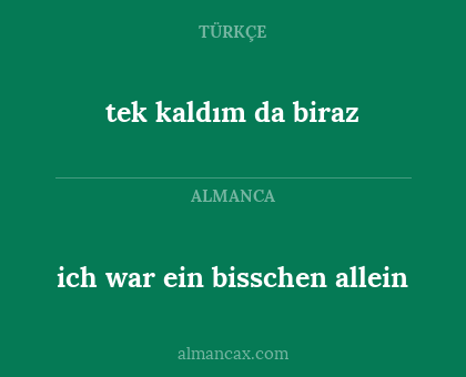 tek kaldım da biraz - ich war ein bisschen allein