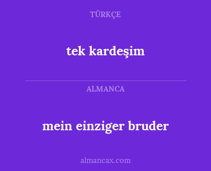 mein einziger bruder - tek kardeşim