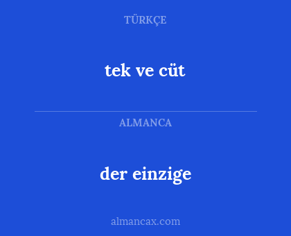 tek ve cüt - der einzige
