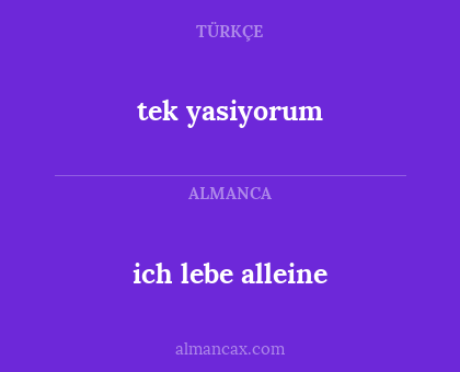 ich lebe alleine - tek yasiyorum