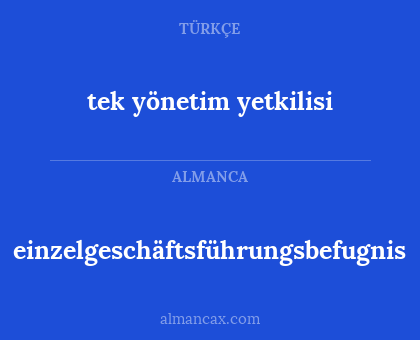 einzelgeschäftsführungsbefugnis - tek yönetim yetkilisi