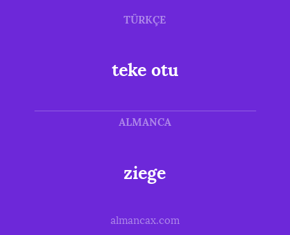 ziege - teke otu