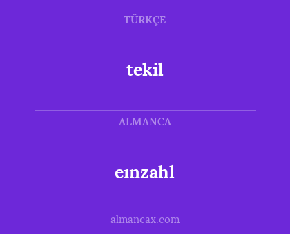 tekil - eınzahl