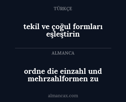 tekil ve çoğul formları eşleştirin - ordne die einzahl und mehrzahlformen zu