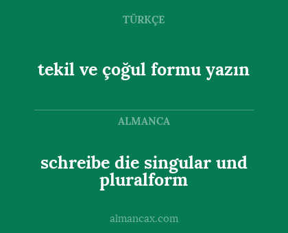 tekil ve çoğul formu yazın - schreibe die singular und pluralform