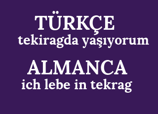 tekiragda+ya%C5%9F%C4%B1yorum-ich+lebe+in+tekrag.png
