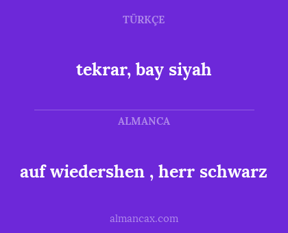 tekrar, bay siyah - auf wiedershen , herr schwarz