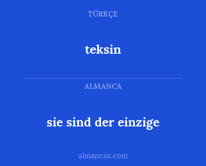 teksin - sie sind der einzige