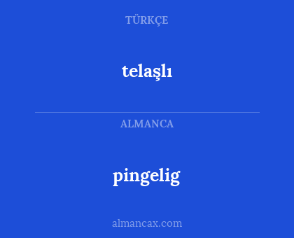 pingelig - telaşlı