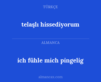telaşlı hissediyorum - ich fühle mich pingelig