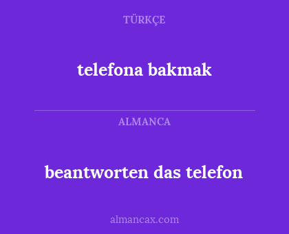 telefona bakmak - beantworten das telefon