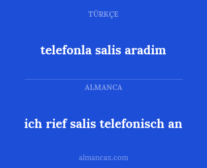 telefonla salis aradim - ich rief salis telefonisch an