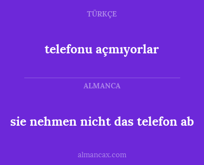 sie nehmen nicht das telefon ab - telefonu açmıyorlar