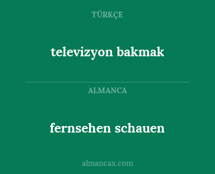 fernsehen schauen - televizyon bakmak