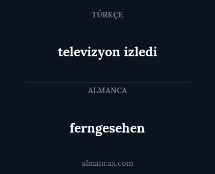 ferngesehen - televizyon izledi