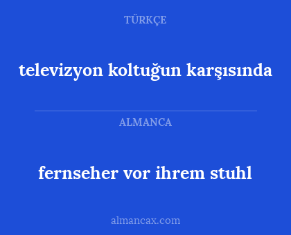 fernseher vor ihrem stuhl - televizyon koltuğun karşısında