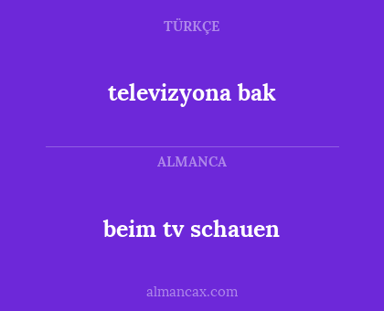televizyona bak - beim tv schauen