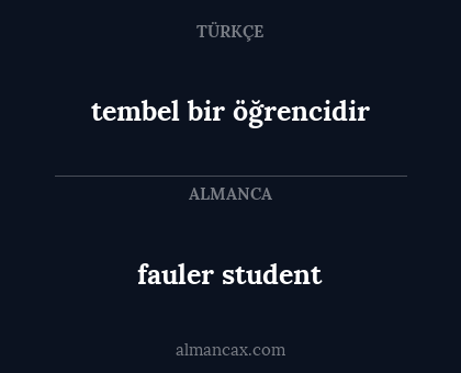 fauler student - tembel bir öğrencidir