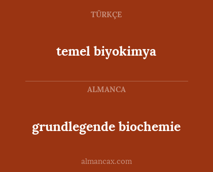 grundlegende biochemie - temel biyokimya