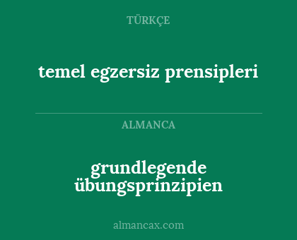 grundlegende übungsprinzipien - temel egzersiz prensipleri