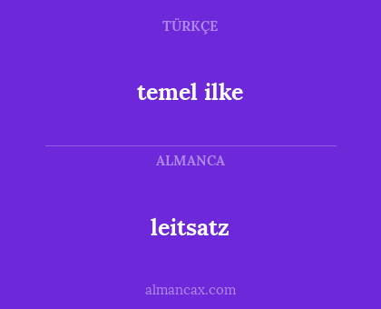 leitsatz - temel ilke