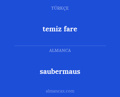 saubermaus - temiz fare