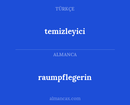 raumpflegerin - temizleyici
