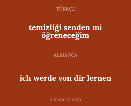 ich werde von dir lernen - temizliği senden mi öğreneceğim