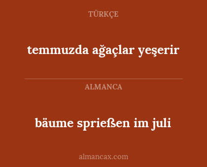 bäume sprießen im juli - temmuzda ağaçlar yeşerir