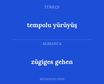zügiges gehen - tempolu yürüyüş