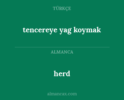 tencereye yag koymak - herd