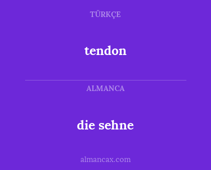 die sehne - tendon