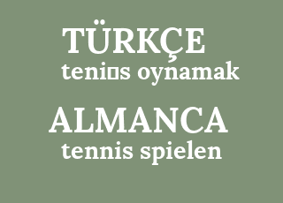 teni%CC%87s+oynamak-tennis+spielen.png