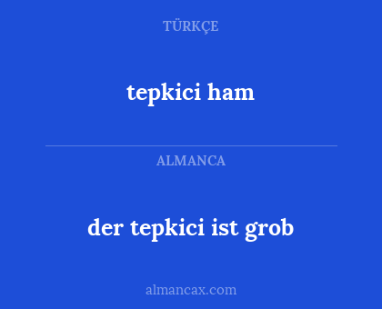 der tepkici ist grob - tepkici ham