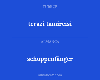 terazi tamircisi - schuppenfänger