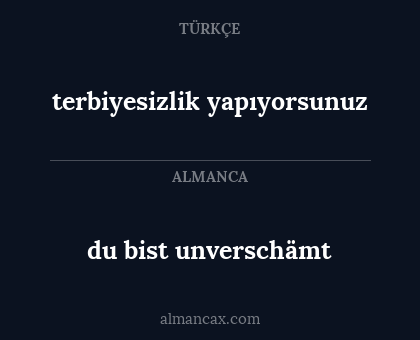 du bist unverschämt - terbiyesizlik yapıyorsunuz