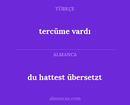 tercüme vardı - du hattest übersetzt