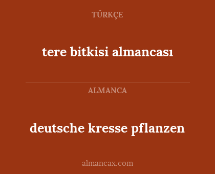 deutsche kresse pflanzen - tere bitkisi almancası