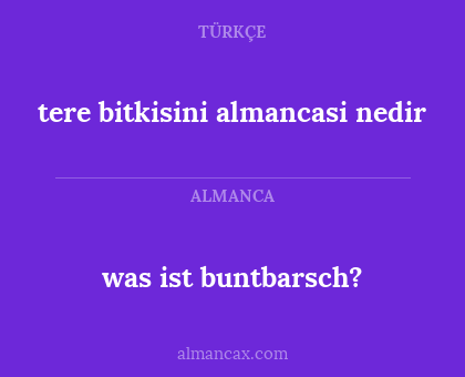 was ist buntbarsch? - tere bitkisini almancasi nedir