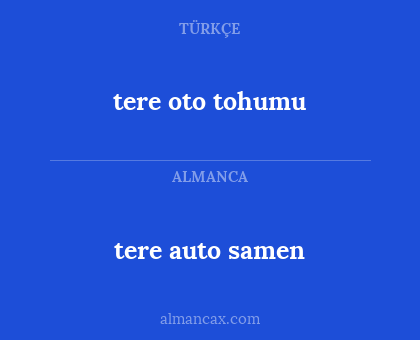 tere oto tohumu - tere auto samen