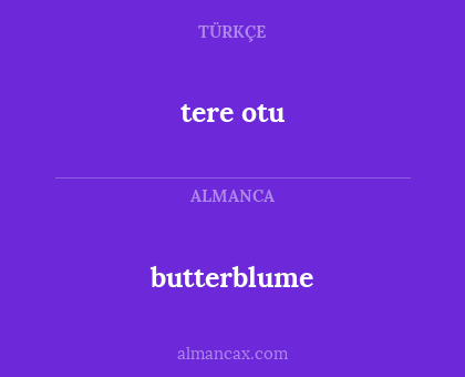 tere otu - butterblume
