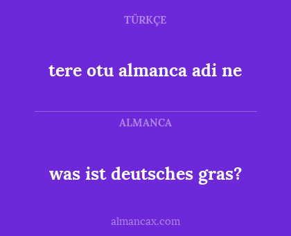 tere otu almanca adi ne - was ist deutsches gras?