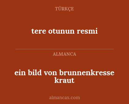 ein bild von brunnenkresse kraut - tere otunun resmi